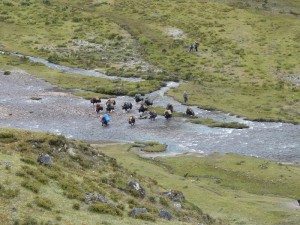 Bhutan Trekking Gangkhar Puensum (21) (800x600)