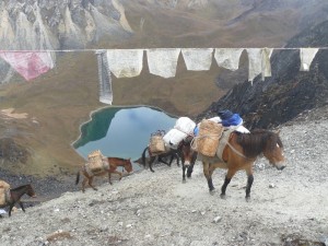 Bhutan Trekking Gangkhar Puensum (41) (800x600)