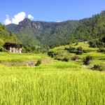 Bhutan Trekking & Reise 2016 mit berghorizonte