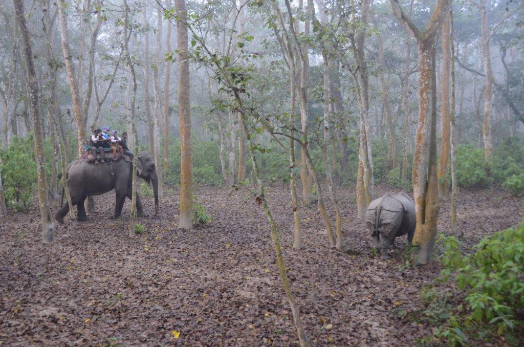 Nepal_Mustang_Annapurna_Chitwan_ Lodge Trekking (34)