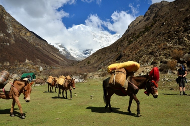 Trekking in Bhutan 
